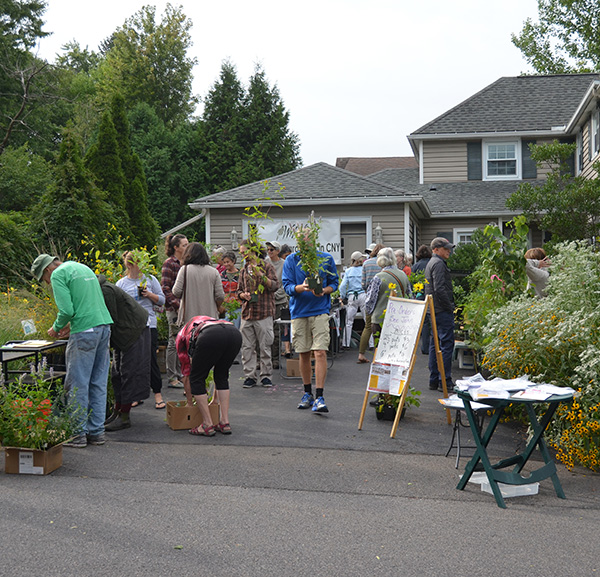 HGCNY plant sale